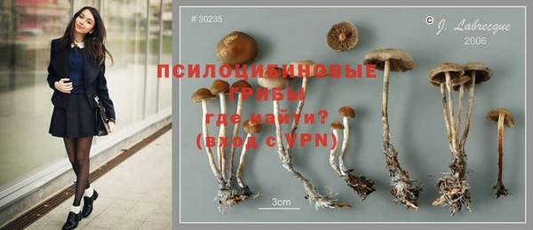 меф Саяногорск