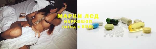 винт Аркадак