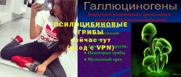 винт Аркадак