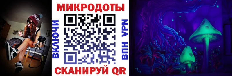 где купить наркоту  omg tor  Галлюциногенные грибы мухоморы  Унеча 